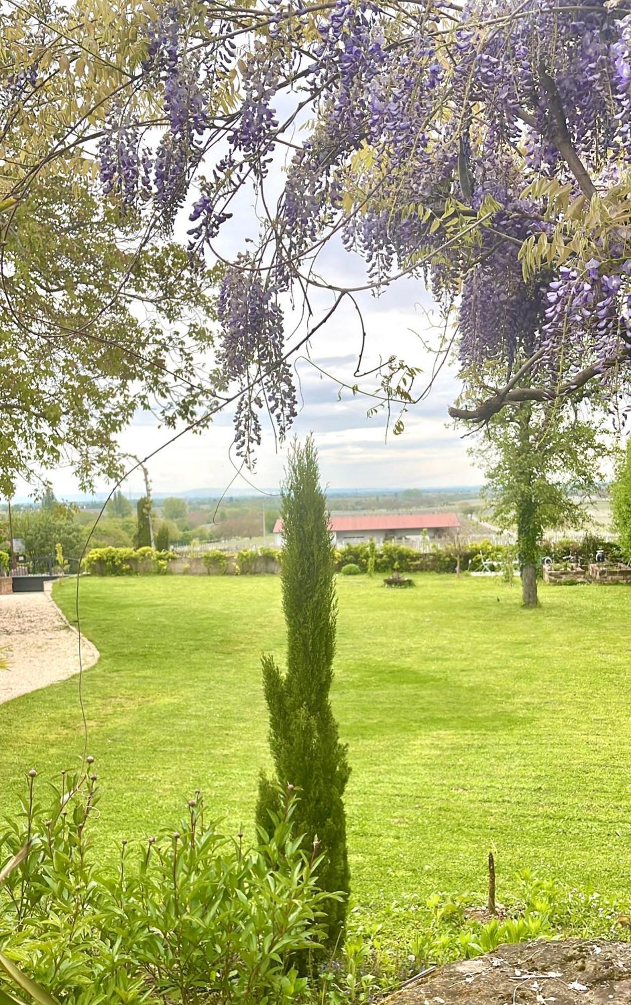 Villa Delange Ландау  Экстерьер фото